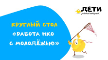 .ДЕТИ представили некоммерческим организациям